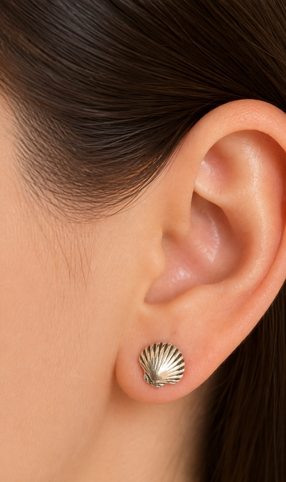 Seashell Stud Earrings | Beach Shell Earrings
