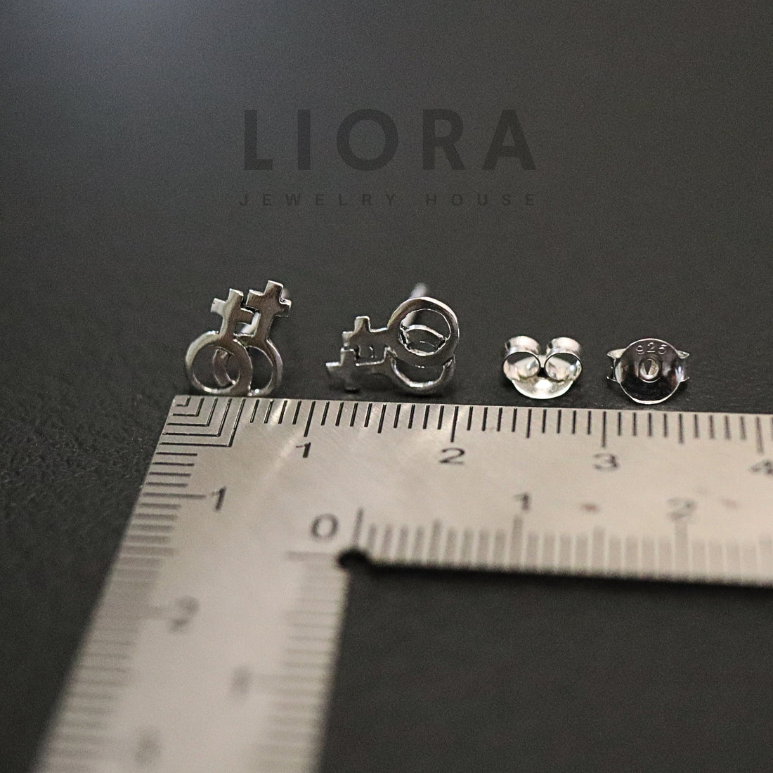 925 Sterling Silver Female Homosexuality Symbol Earrings, Lesbian Earring, Lesbian Symbol, Lesbian Gay Pride, LGBT Pride, Pride Jewelry